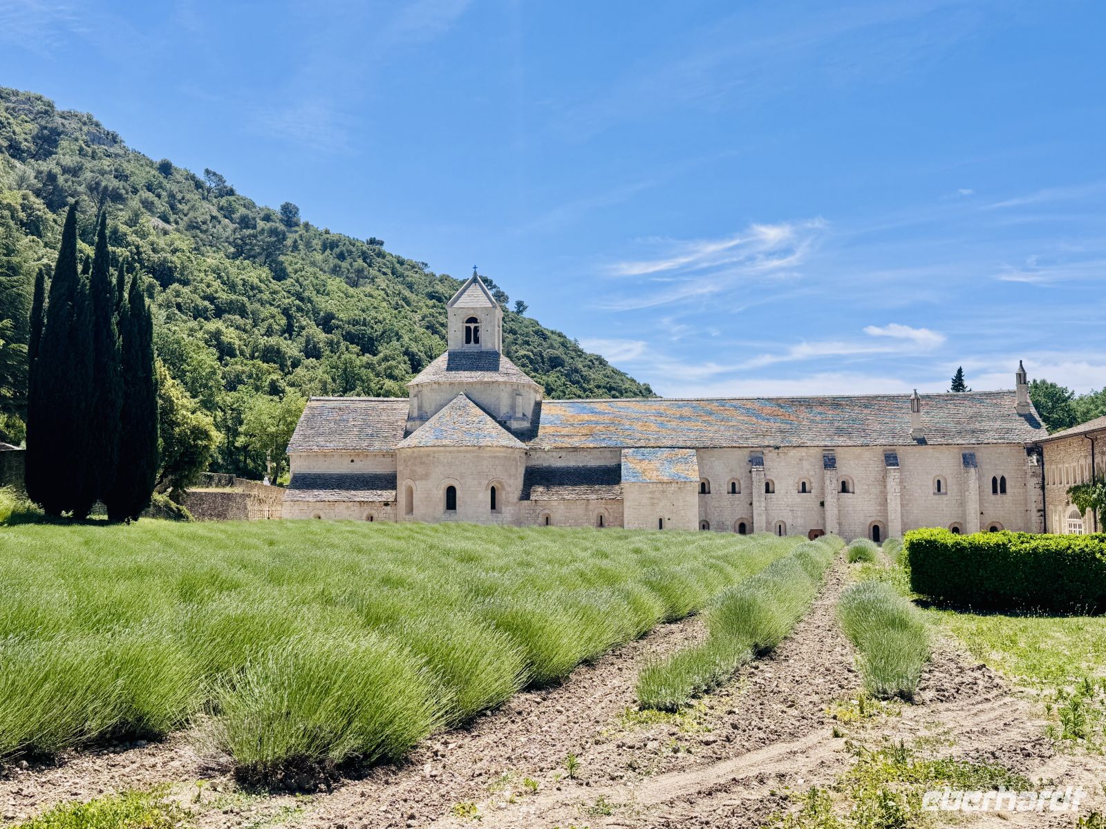 10. Tag - Abbaye de Sénanque &ndash; &copy; Christin Kuschka (Eberhardt TRAVEL)