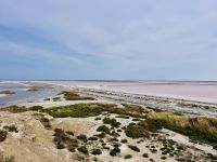9. Tag - Salin-de-Giraud, Camargue 