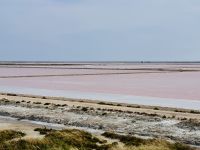 9. Tag - Salin-de-Giraud, Camargue &ndash; &copy; Christin Kuschka (Eberhardt TRAVEL)