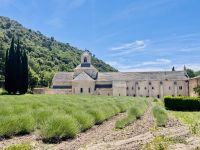 10. Tag - Abbaye de Sénanque &ndash; &copy; Christin Kuschka (Eberhardt TRAVEL)