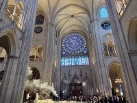 3. Tag: Spaziergang über die Île de la Cité – Notre-Dame de Paris &ndash; &copy; Andreas Wolfsteller (Eberhardt TRAVEL)
