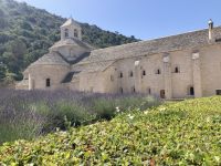 Rundreise Provence - Das Kloster Senanque