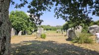 Steine von Carnac in Kerzerho