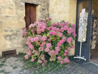 Saint-Emilion