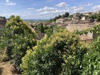 Saint-Emilion &ndash; &copy; Roswitha Zytowski (Eberhardt TRAVEL)