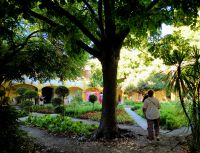 Im Espace Van Gogh  &ndash; &copy; Gina Egenolf (Eberhardt TRAVEL)