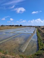 Ile Noirmoutier &ndash; &copy; Wolfgang Kowalewski (Eberhardt TRAVEL)