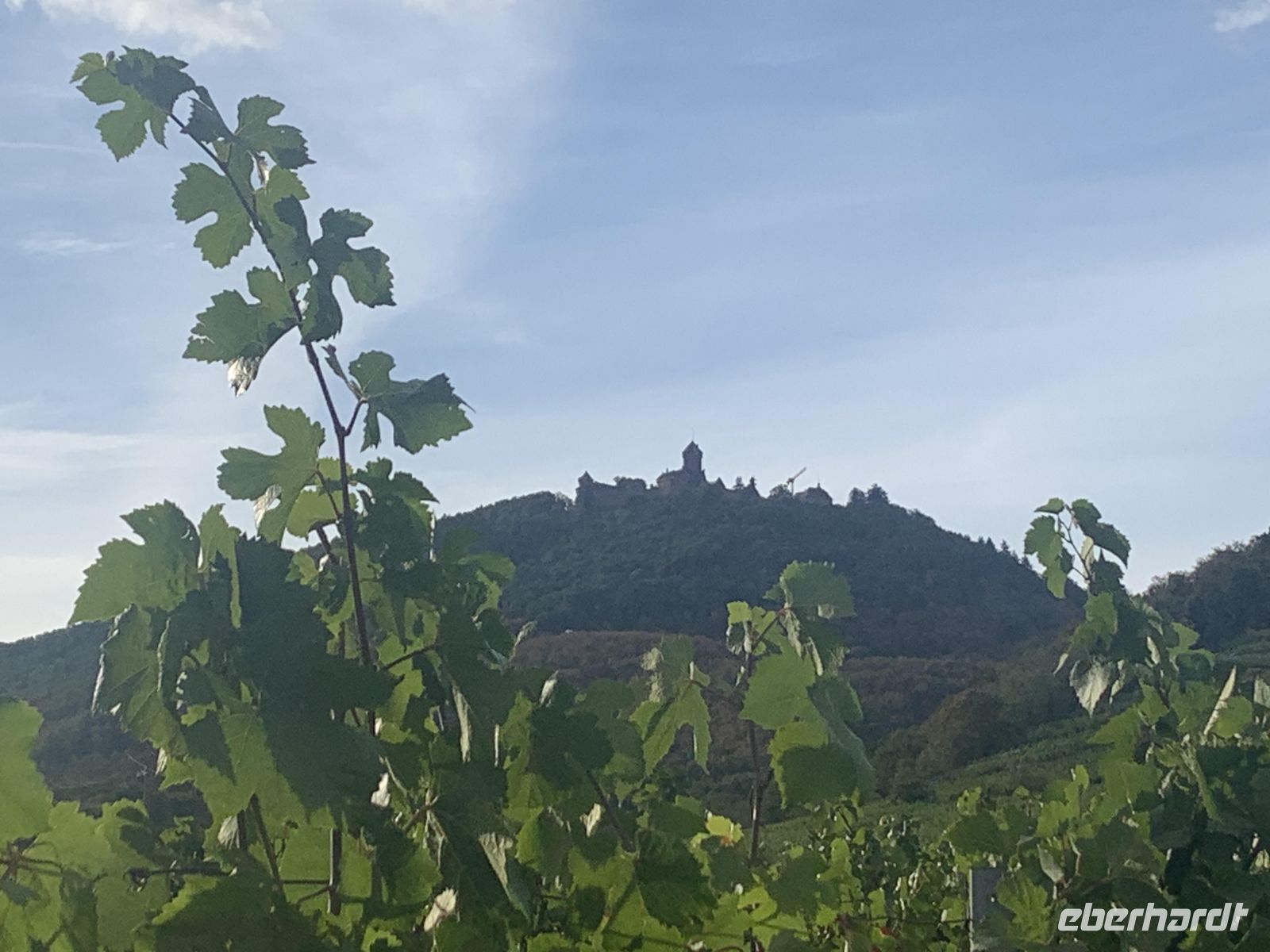 haut Koenigsbourg Val Vignes &ndash; &copy; Mireille Fuhrmann (Eberhardt TRAVEL)
