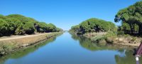 Bootstour auf Flussarm der Petit Rhône, Aigues-Mortes &ndash; &copy; Evelyn Krawczyk-Bärsch (Eberhardt TRAVEL)