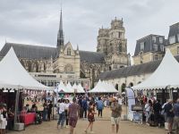 2026-09_LOIRE: Orleans - Stadtfest &ndash; &copy; Dieter Braune (Eberhardt TRAVEL)