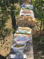 2026-09_LOIRE: Cades-St.-Martin - Picknick im Rosengarten &ndash; &copy; Dieter Braune (Eberhardt TRAVEL)