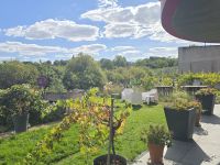 2026-09_LOIRE: Chinon - Weingut &ndash; &copy; Dieter Braune (Eberhardt TRAVEL)