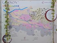2026-09_LOIRE: Die Weinlagen von Chinon &ndash; &copy; Dieter Braune (Eberhardt TRAVEL)