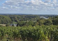 2026-09_LOIRE: ´Blick auf die Mündung der Vienne in die Loire &ndash; &copy; Dieter Braune (Eberhardt TRAVEL)