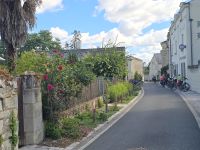 2026-09_LOIRE: Montsoreau &ndash; &copy; Dieter Braune (Eberhardt TRAVEL)