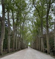 2026-09_LOIRE: Château Chenonceau - Eingangsallee &ndash; &copy; Dieter Braune (Eberhardt TRAVEL)