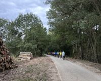 2026-09_LOIRE: Letzte Fahrt durch Wälder &ndash; &copy; Dieter Braune (Eberhardt TRAVEL)