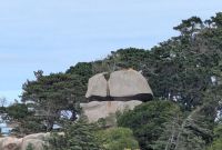 Hut des Napoleon, Ploumanac'h &ndash; &copy; Sabine Möllering-Stork (Eberhardt TRAVEL)