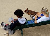 Pariser und ihre Hunde am Montmartre  &ndash; &copy; Gina Egenolf (Eberhardt TRAVEL)