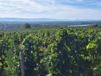 Tournon L`Hermitage &ndash; &copy; Peggy Pfützner (Eberhardt TRAVEL)