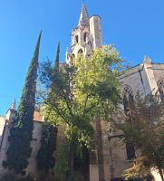 Avignon &ndash; &copy; Peggy Pfützner (Eberhardt TRAVEL)