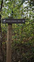 Wanderung im Wald Brocéliande zur Quelle von Barenton &ndash; &copy; Peter Walther (Eberhardt TRAVEL)