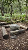 Wanderung im Wald Brocéliande zur Quelle von Barenton &ndash; &copy; Peter Walther (Eberhardt TRAVEL)