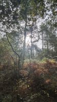 Wanderung im Wald Brocéliande zur Quelle von Barenton &ndash; &copy; Peter Walther (Eberhardt TRAVEL)