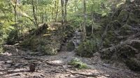 Wandern im Wald von Brocélande im Tal ohne Wiederkehr &ndash; &copy; Peter Walther (Eberhardt TRAVEL)
