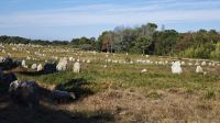 Menhir-Steinfelder von Carnac &ndash; &copy; Peter Walther (Eberhardt TRAVEL)