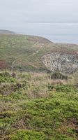 Küstenwanderung zum Pointe du Raz &ndash; &copy; Peter Walther (Eberhardt TRAVEL)