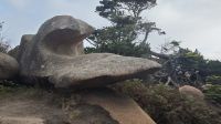 Küstenwanderung auf dem Zöllnerpfad von Tregastel nach Ploumanach &ndash; &copy; Peter Walther (Eberhardt TRAVEL)