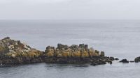 Pointe du Grouin &ndash; &copy; Peter Walther (Eberhardt TRAVEL)