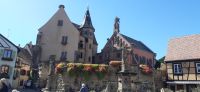 Eguisheim &ndash; &copy; Kerstin Hugel (Eberhardt TRAVEL)