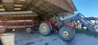 Besuch auf einer Stierfarm &ndash; &copy; Kerstin Hugel (Eberhardt TRAVEL)
