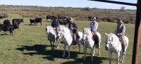 Besuch auf einer Stierfarm &ndash; &copy; Kerstin Hugel (Eberhardt TRAVEL)