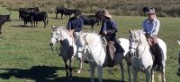 Besuch auf einer Stierfarm &ndash; &copy; Kerstin Hugel (Eberhardt TRAVEL)