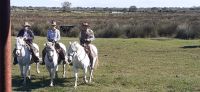 Besuch auf einer Stierfarm &ndash; &copy; Kerstin Hugel (Eberhardt TRAVEL)