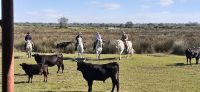 Besuch auf einer Stierfarm &ndash; &copy; Kerstin Hugel (Eberhardt TRAVEL)