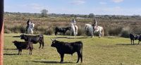 Besuch auf einer Stierfarm &ndash; &copy; Kerstin Hugel (Eberhardt TRAVEL)
