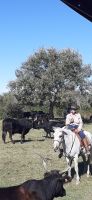 Besuch auf einer Stierfarm &ndash; &copy; Kerstin Hugel (Eberhardt TRAVEL)