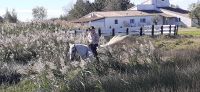 Besuch auf einer Stierfarm &ndash; &copy; Kerstin Hugel (Eberhardt TRAVEL)
