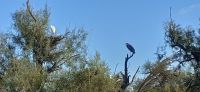 Vogelpark in Saintes Maries de la Mer &ndash; &copy; Kerstin Hugel (Eberhardt TRAVEL)