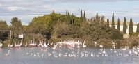 Vogelpark in Saintes Maries de la Mer &ndash; &copy; Kerstin Hugel (Eberhardt TRAVEL)