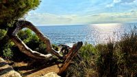 Wanderung von Beaulieu-sur-Mer nach St.-Jean-Cap Ferrat. Wanderreise Südfrankreich - malerische Cote d'Azur.