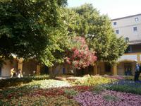 Arles &ndash; &copy; Barbara Pflicke (Eberhardt TRAVEL)