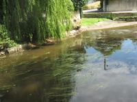 In Bayeux