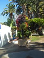 in Cannes  &ndash; &copy; Sandra Rößle (Eberhardt TRAVEL)