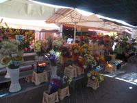 Blumenmarkt Nizza  &ndash; &copy; Sandra Rößle (Eberhardt TRAVEL)