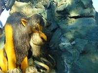 Scar &ndash; &copy; Madlen Lippe (Eberhardt TRAVEL)